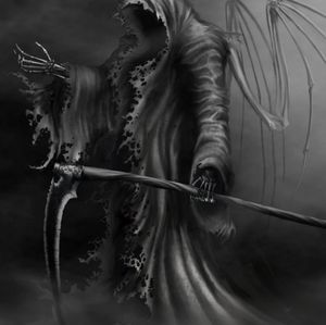 Meet your Posher, Erdman